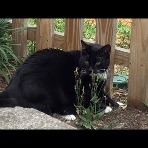 Meet your Posher, Andy